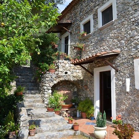 Agrestis Domus Guest House San Giovanni a Piro Bagian luar foto