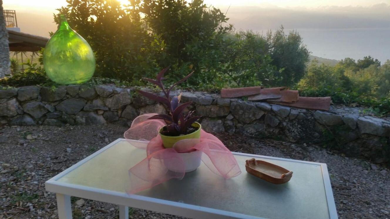 Agrestis Domus Guest House San Giovanni a Piro Bagian luar foto