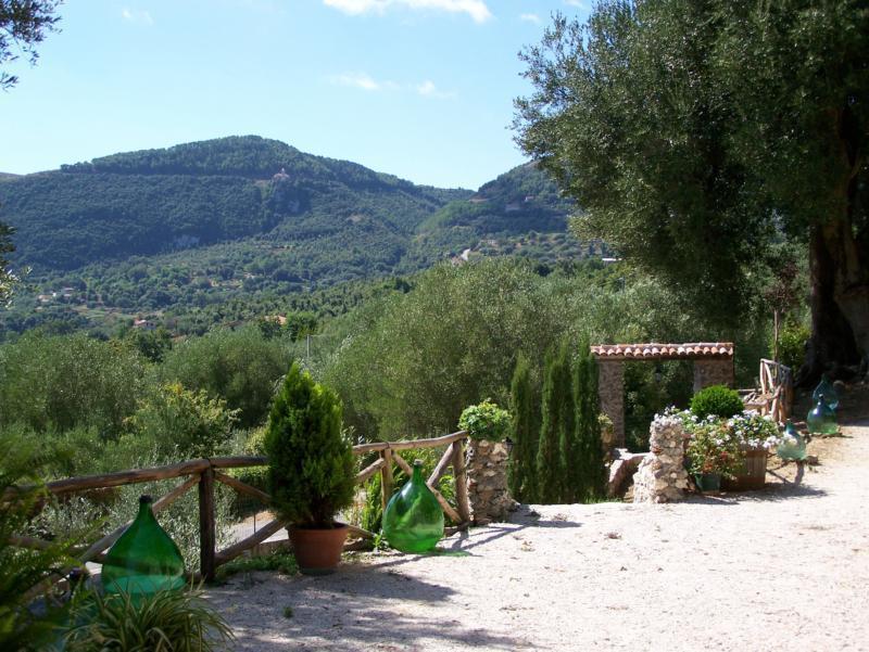 Agrestis Domus Guest House San Giovanni a Piro Bagian luar foto