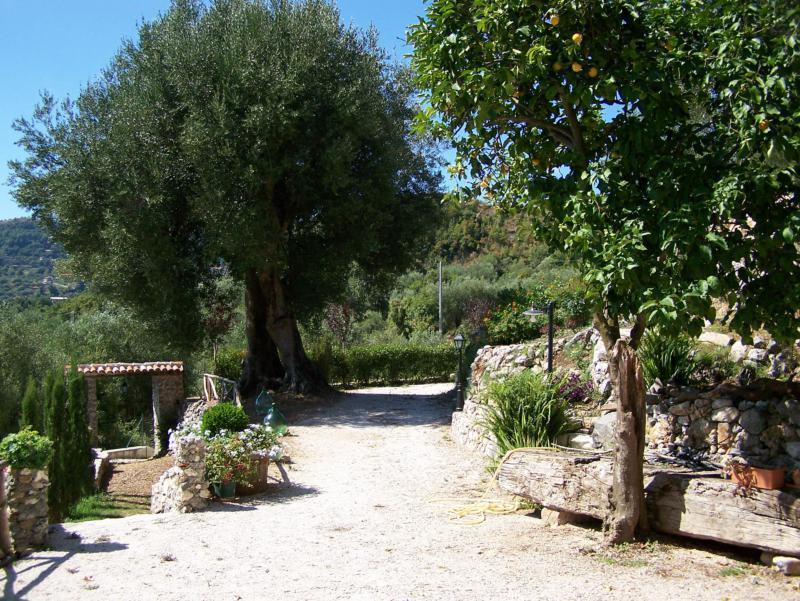 Agrestis Domus Guest House San Giovanni a Piro Bagian luar foto