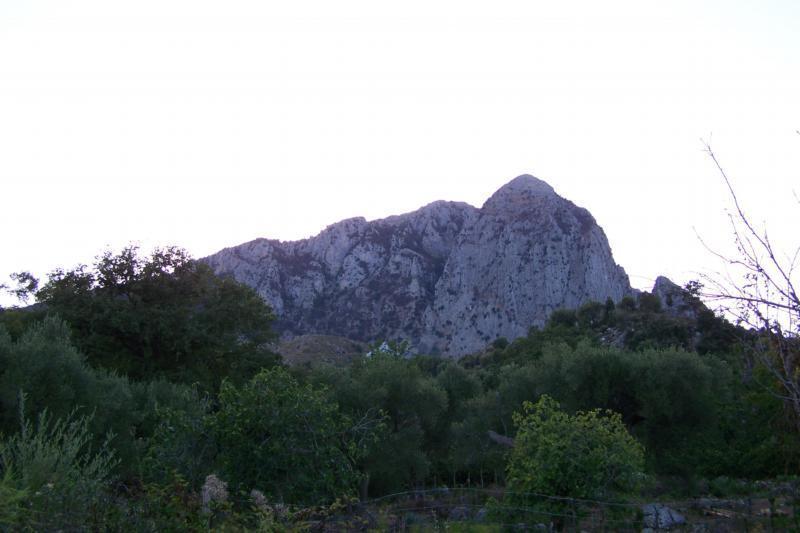 Agrestis Domus Guest House San Giovanni a Piro Bagian luar foto