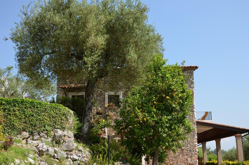 Agrestis Domus Guest House San Giovanni a Piro Bagian luar foto