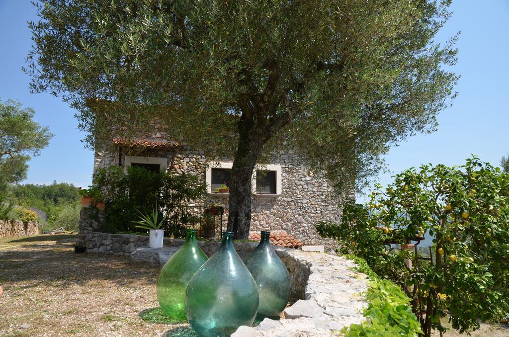 Agrestis Domus Guest House San Giovanni a Piro Bagian luar foto