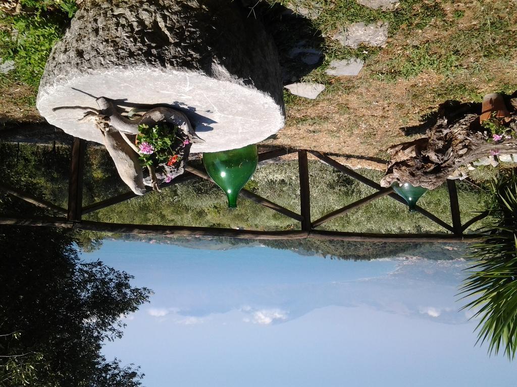 Agrestis Domus Guest House San Giovanni a Piro Bagian luar foto