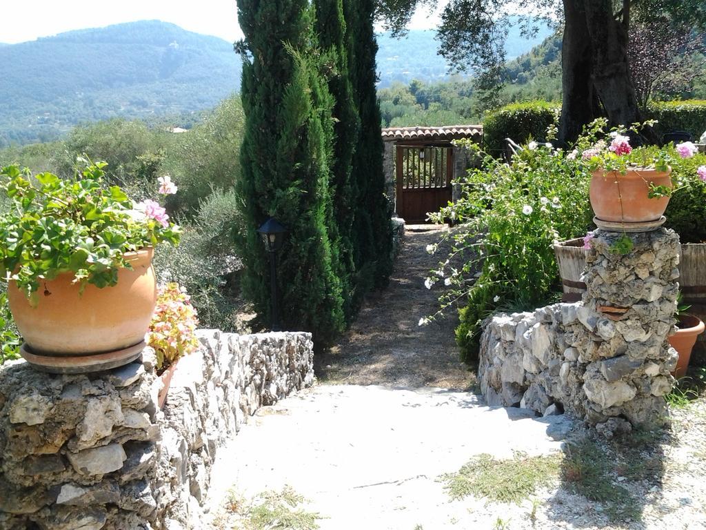 Agrestis Domus Guest House San Giovanni a Piro Bagian luar foto