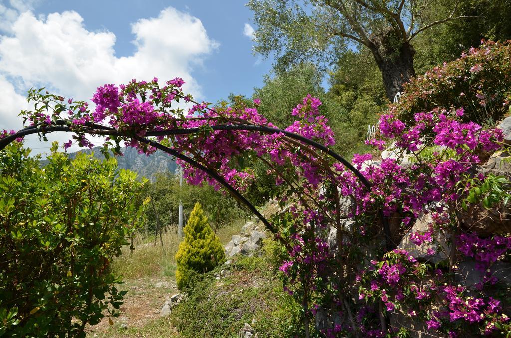 Agrestis Domus Guest House San Giovanni a Piro Bagian luar foto