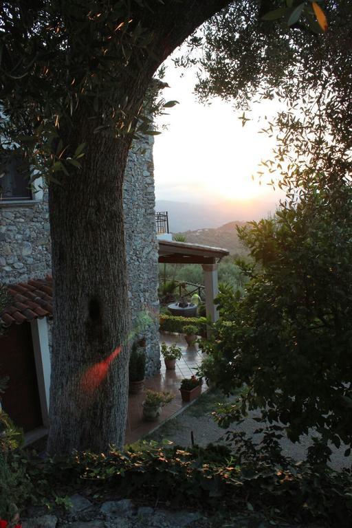 Agrestis Domus Guest House San Giovanni a Piro Bagian luar foto