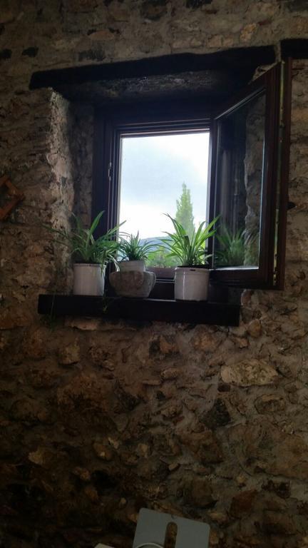 Agrestis Domus Guest House San Giovanni a Piro Bagian luar foto