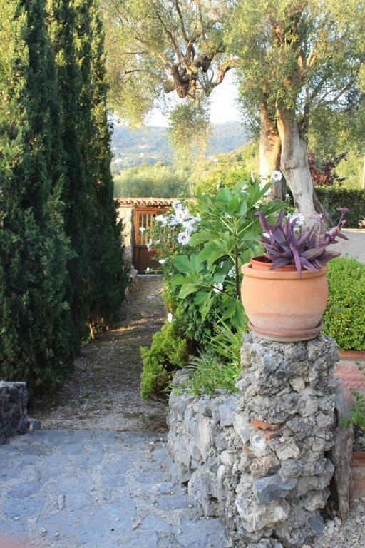 Agrestis Domus Guest House San Giovanni a Piro Bagian luar foto