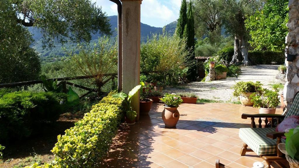 Agrestis Domus Guest House San Giovanni a Piro Bagian luar foto