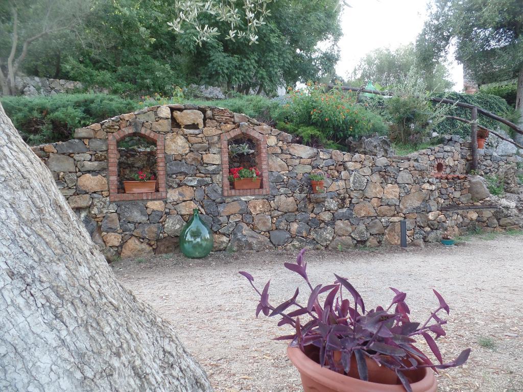 Agrestis Domus Guest House San Giovanni a Piro Bagian luar foto